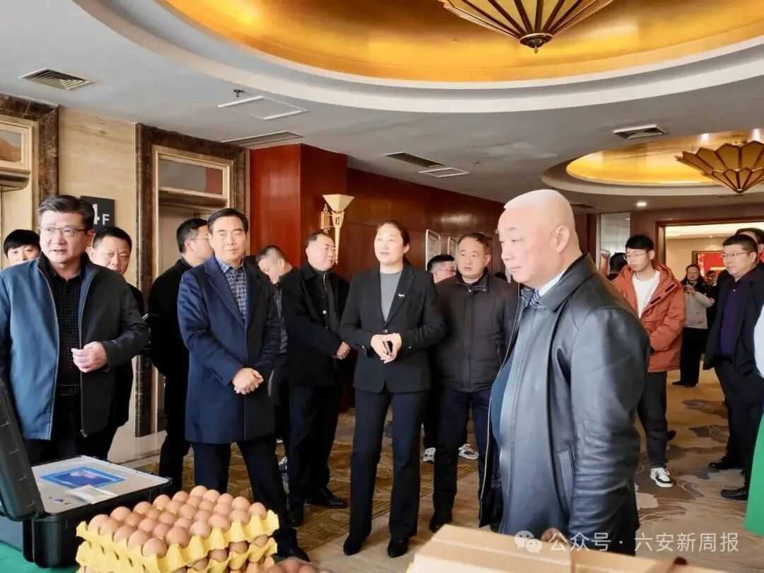 公司案例背景图